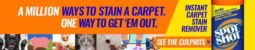 Tips For Using Spot Shot To Remove Pesky Carpet And Rug Stains Wd 40 Spot Shot Professional Instant Carpet Cleaner